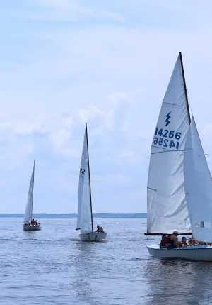 Four large sailboats on the water at Camp Sea Gull